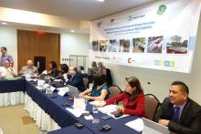 Experts from SICA states discuss the technical and institutional design of the Regional Centre for Renewable Energy and Energy Efficiency